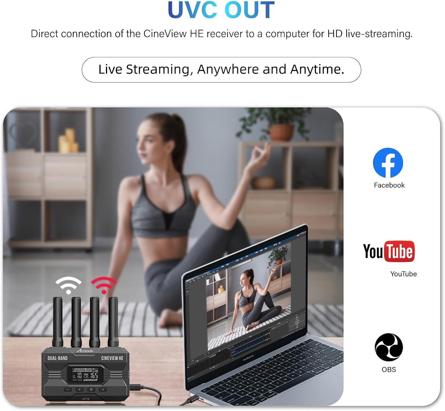 ACCSOON CineView HE HDMI Video - Usb C To Hdmi 评论和价格