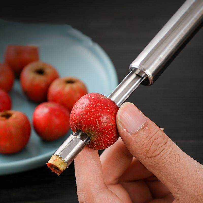 Stainless Steel Fruit Corer Ap - Tech Accessories And Gadgets 评论和价格