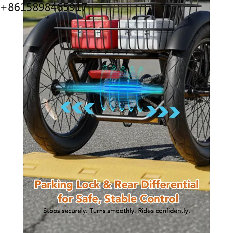 Qlife Triker 2.0 Folding Elect - Tech Q 评论和价格
