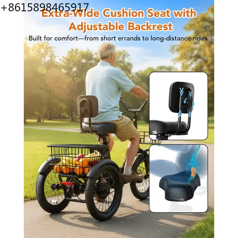 Qlife Triker 2.0 Folding Elect - Tech Q 评论和价格
